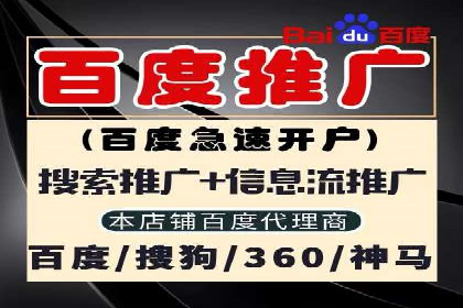SEM推广案例：从无到有的转变